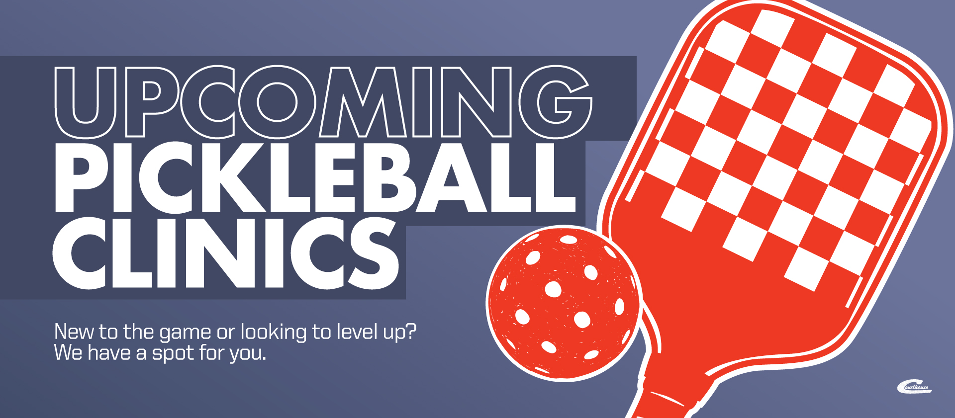 Learn to Play Pickleball This Spring